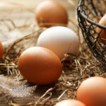 Ein Korb voll Eier: Sind Eier gesund oder nicht?